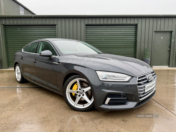 Audi A5 DIESEL SPORTBACK in Armagh