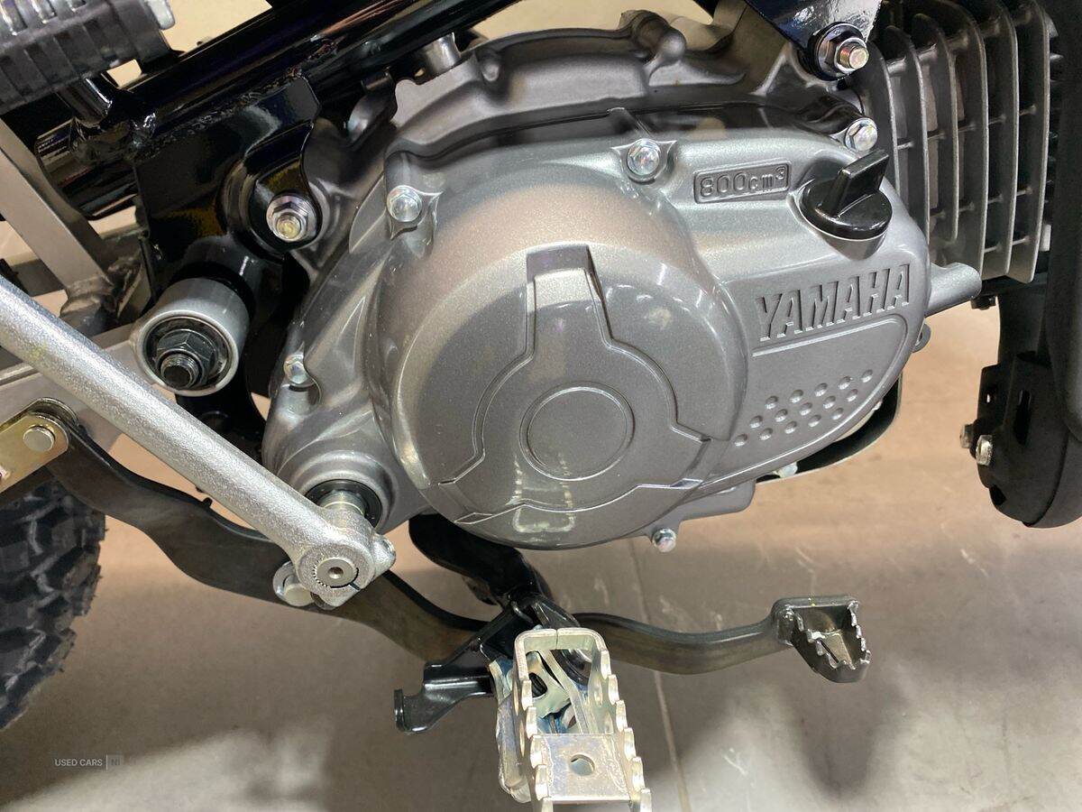  2024 Yamaha TTR Series New 24MY TTR-110