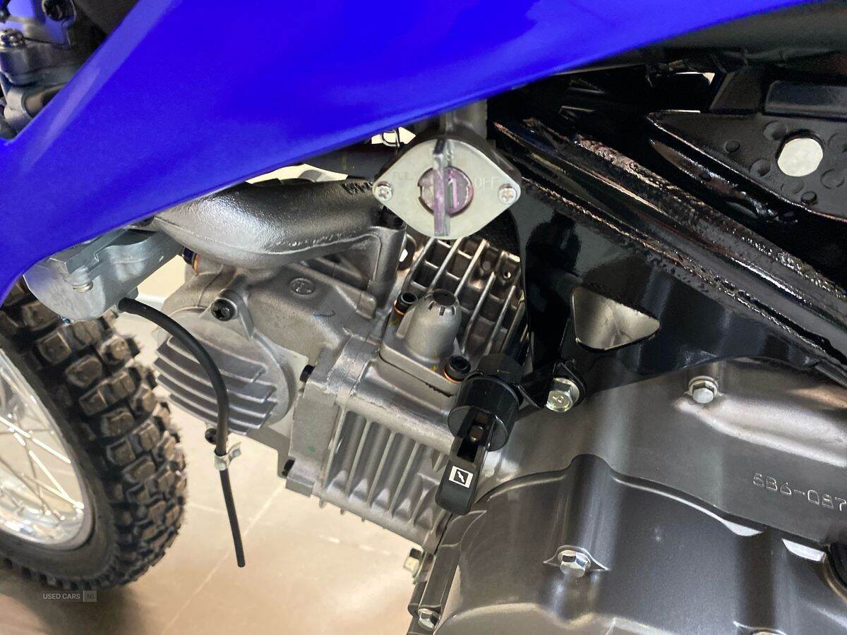  2024 Yamaha TTR Series New 24MY TTR-110