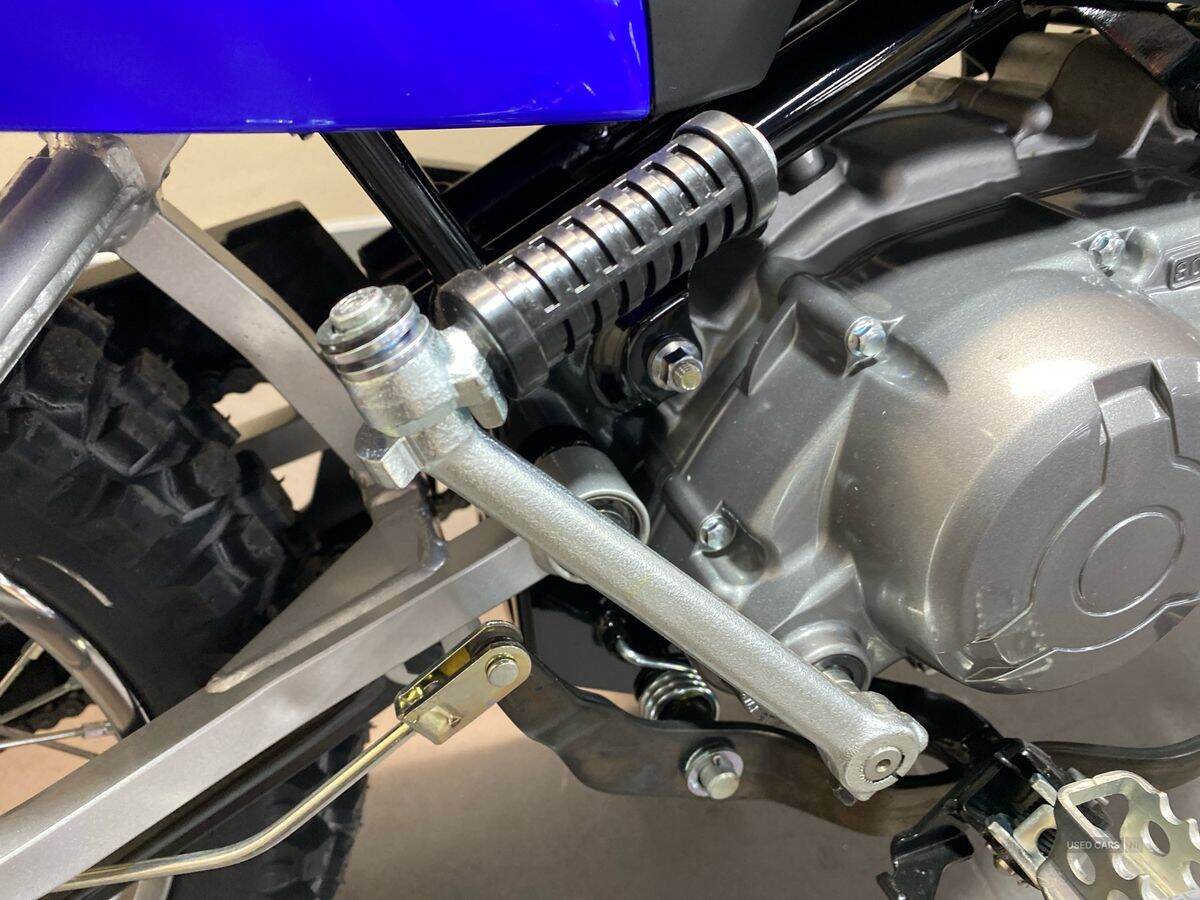  2024 Yamaha TTR Series New 24MY TTR-110