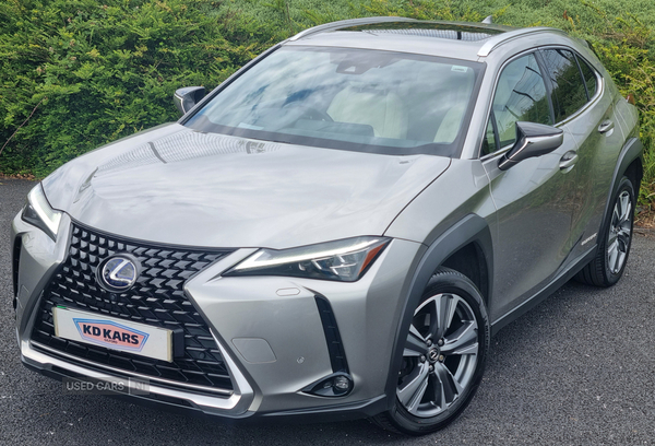 Lexus UX ELECTRIC HATCHBACK in Armagh