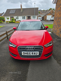 Audi A3 1.6 TDI Ultra 110 SE Technik 5dr in Down