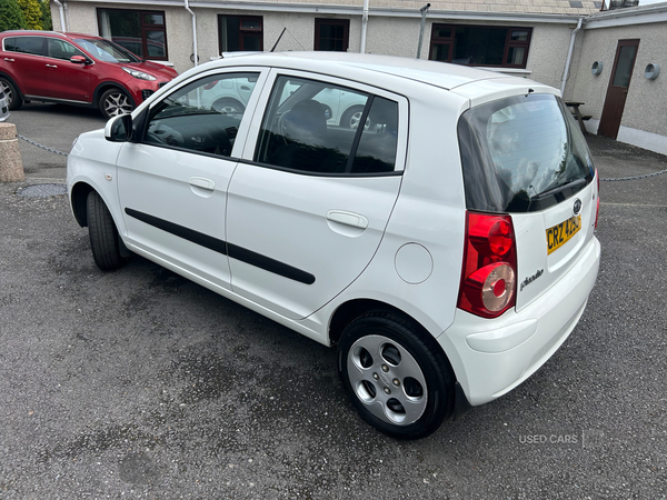 Kia Picanto HATCHBACK SPECIAL EDITION in Antrim