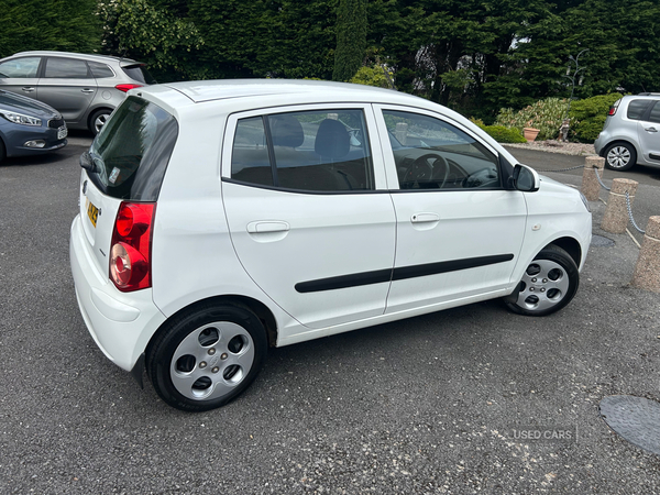 Kia Picanto HATCHBACK SPECIAL EDITION in Antrim