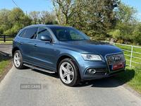 Audi Q5 ESTATE SPECIAL EDITIONS in Tyrone