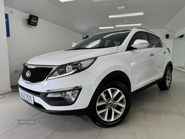 Kia Sportage ESTATE in Down
