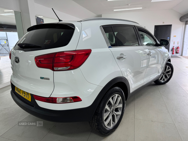Kia Sportage ESTATE in Down