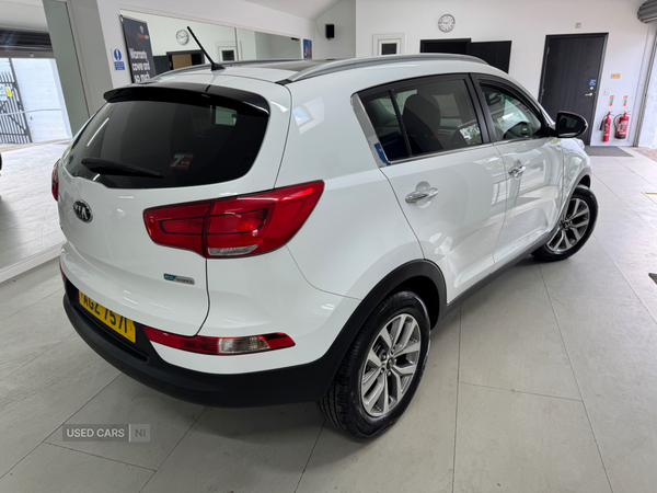Kia Sportage ESTATE in Down