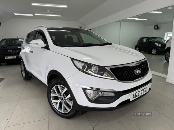 Kia Sportage ESTATE in Down
