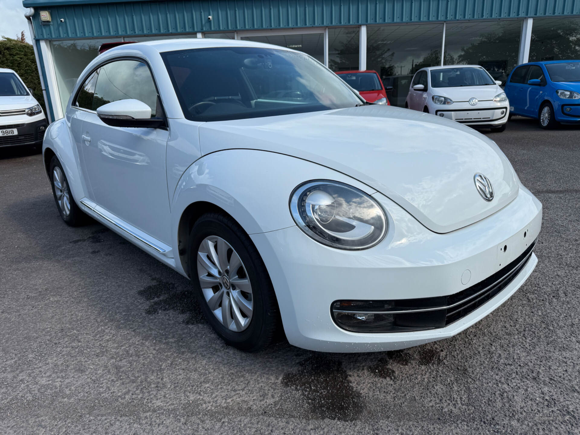 Volkswagen Beetle Design 1.2 TSI DSG in Antrim