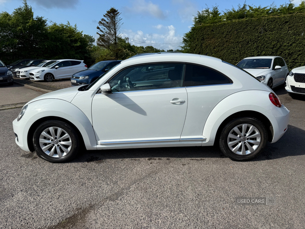 Volkswagen Beetle Design 1.2 TSI DSG in Antrim