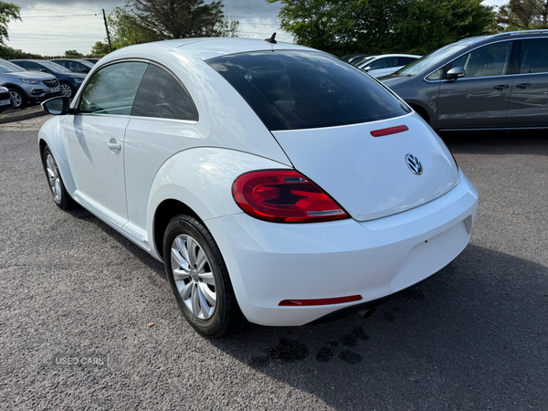 Volkswagen Beetle Design 1.2 TSI DSG in Antrim