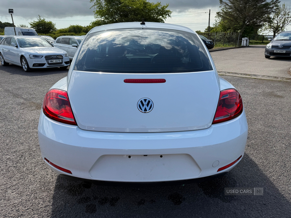 Volkswagen Beetle Design 1.2 TSI DSG in Antrim