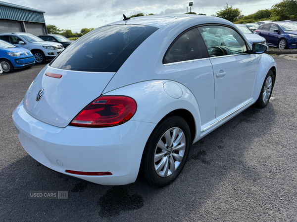 Volkswagen Beetle Design 1.2 TSI DSG in Antrim