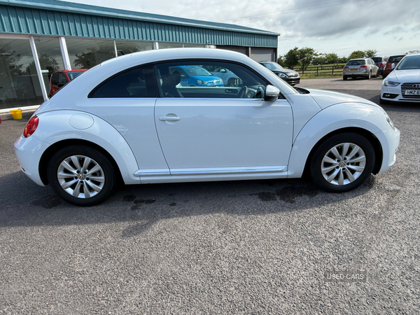 Volkswagen Beetle Design 1.2 TSI DSG in Antrim