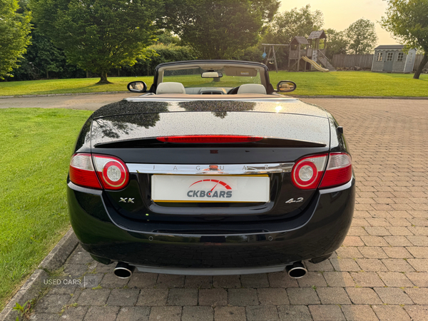 Jaguar XK CONVERTIBLE in Antrim