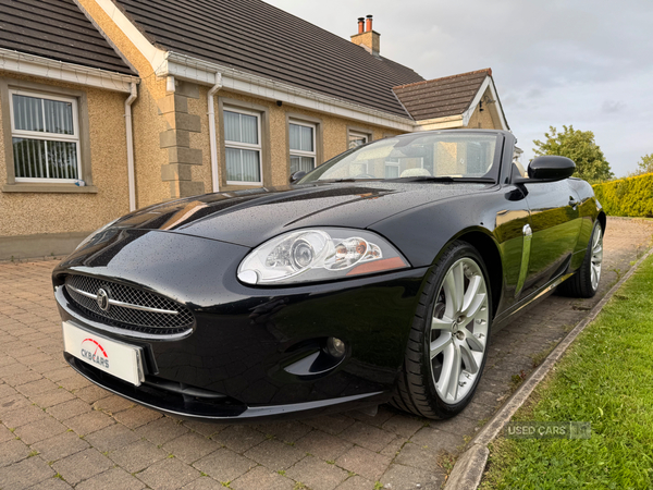 Jaguar XK CONVERTIBLE in Antrim