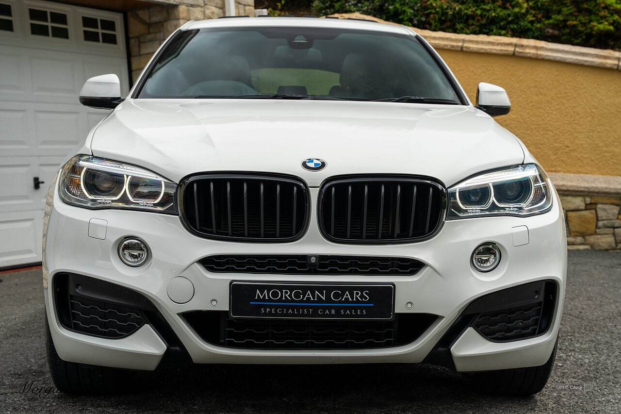 Mar 2018 BMW X6 xDrive40d M Sport 5dr Step Auto