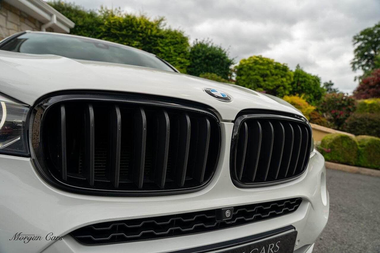 Mar 2018 BMW X6 xDrive40d M Sport 5dr Step Auto