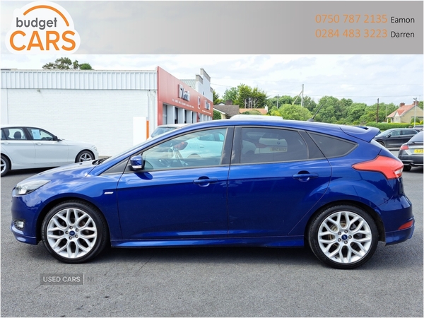 Ford Focus HATCHBACK in Down