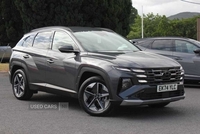 Hyundai Tucson 1.6T Hybrid Premium 5dr Auto in Down