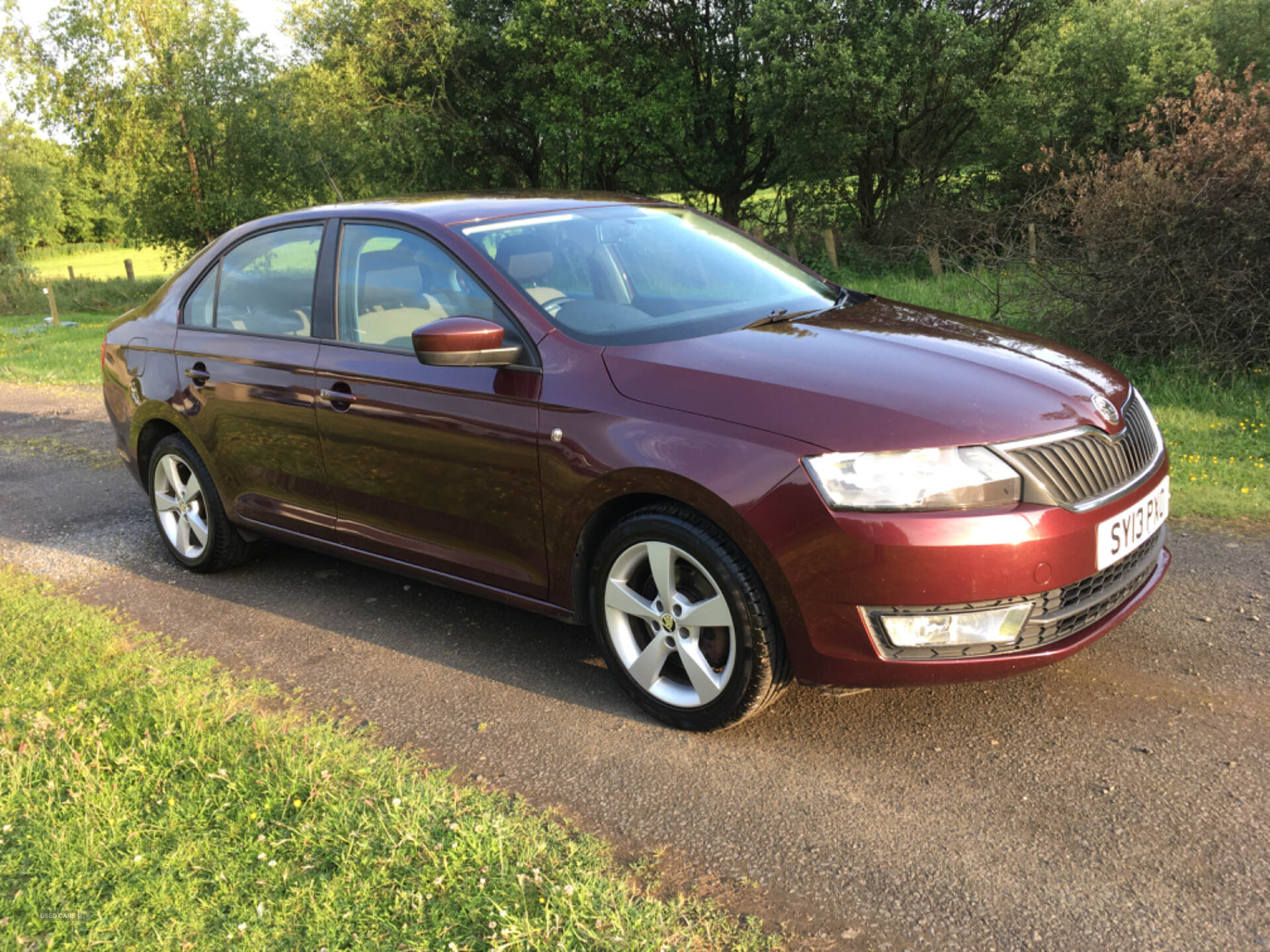 Mar 2013 Skoda Rapid 1.6 TDI CR Elegance 5dr