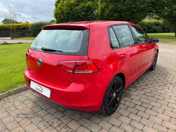 Volkswagen Golf HATCHBACK in Antrim