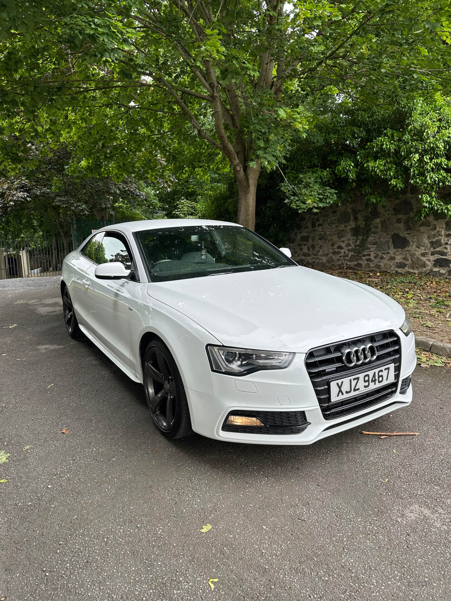 Aug 2013 Audi A5 2.0 TDI 177 Quattro Black Edition 2dr S Tronic