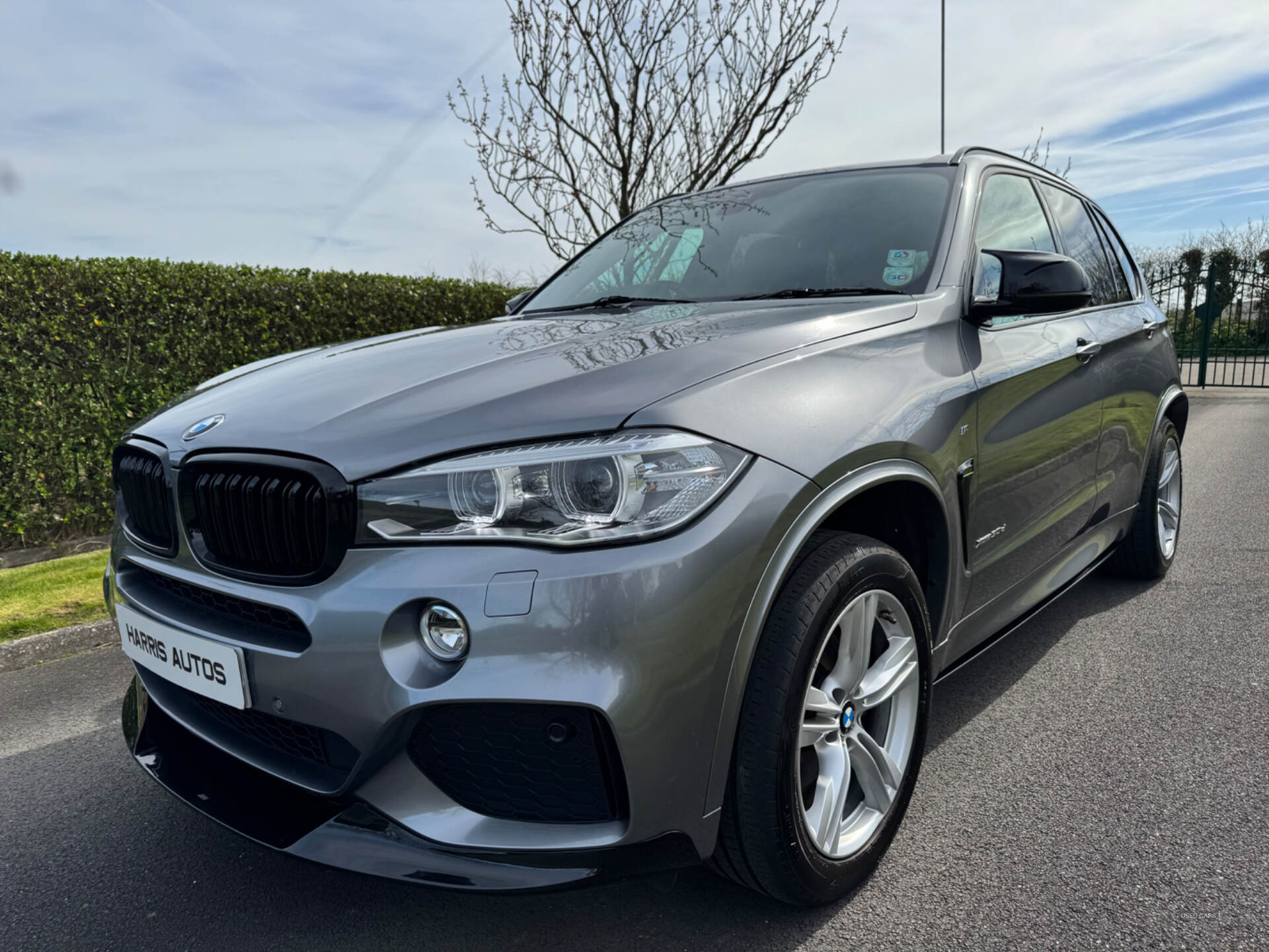 Mar 2015 BMW X5 xDrive30d M Sport 5dr Auto