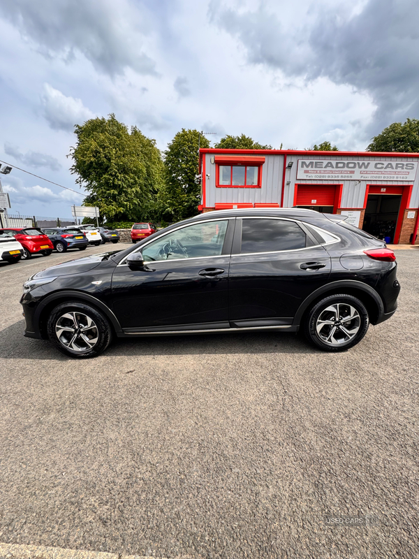 Kia XCeed HATCHBACK in Antrim