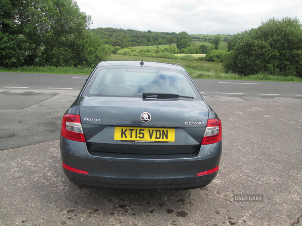 Skoda Octavia DIESEL HATCHBACK in Fermanagh