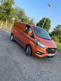 Ford Transit Custom 2.0 EcoBlue 130ps Low Roof Trend Van in Derry / Londonderry