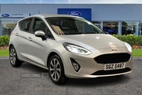 Ford Fiesta 1.0 EcoBoost 95 Trend 5dr- Apple Car Play in Antrim