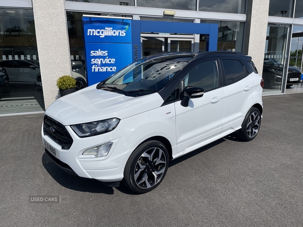 Ford EcoSport HATCHBACK in Tyrone