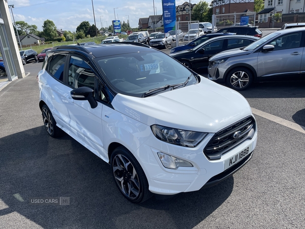 Ford EcoSport HATCHBACK in Tyrone