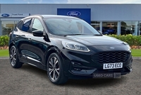 Ford Kuga 1.5T EcoBoost ST-Line X Edition SUV 5dr - HEATED SEATS & STEERING WHEEL, REVERSING CAMERA w/ SENSORS, POWER TIALGATE, B&O PREMIUM AUDIO, KEYLESS GO in Antrim