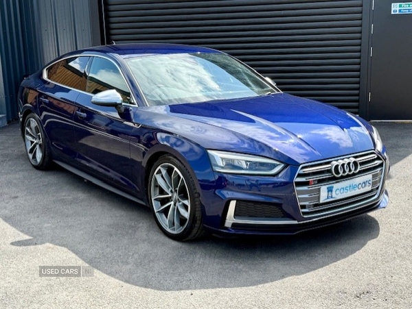 Audi A5 SPORTBACK in Tyrone