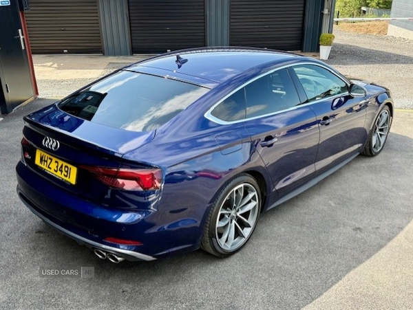 Audi A5 SPORTBACK in Tyrone