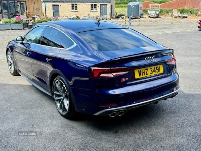 Audi A5 SPORTBACK in Tyrone