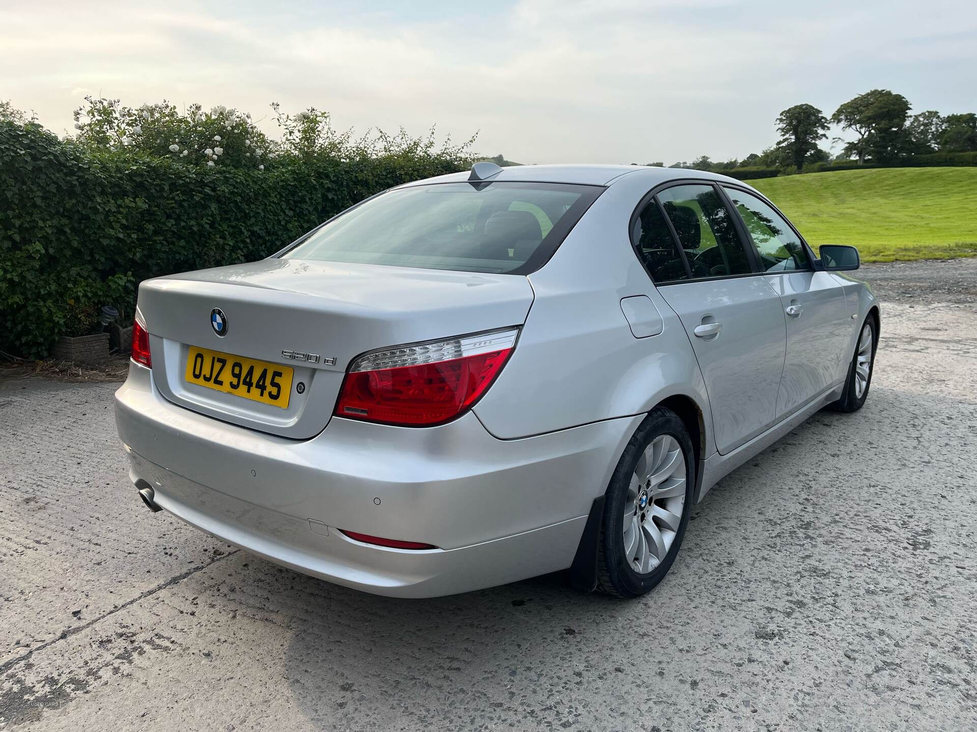 Apr 2009 BMW 5 Series 520d SE Business Edition 4dr Step Auto [177]