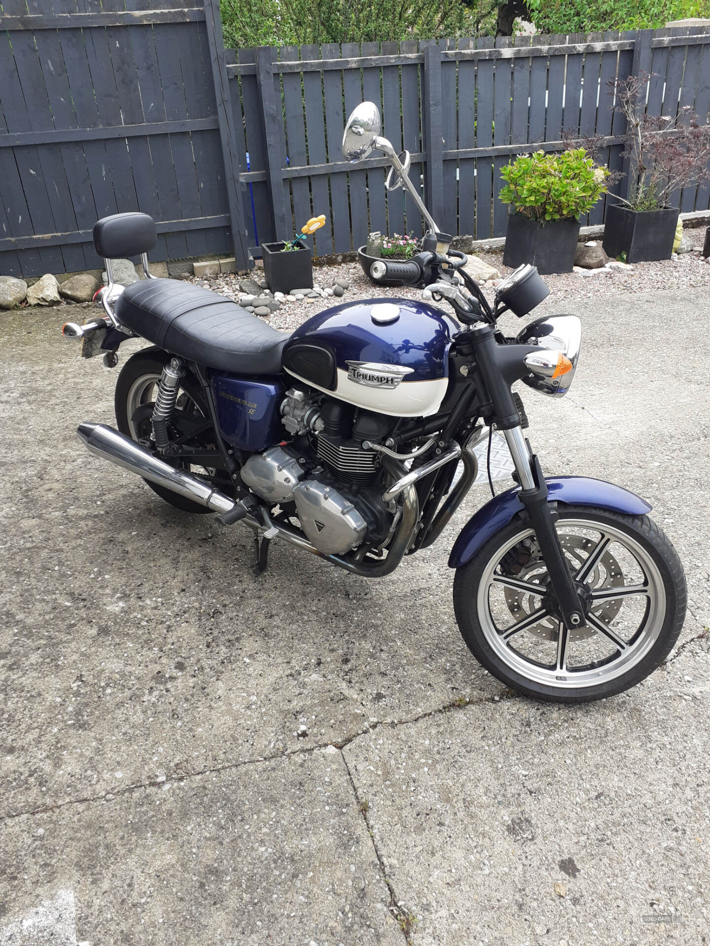 Aug 2011 Triumph Bonneville SE