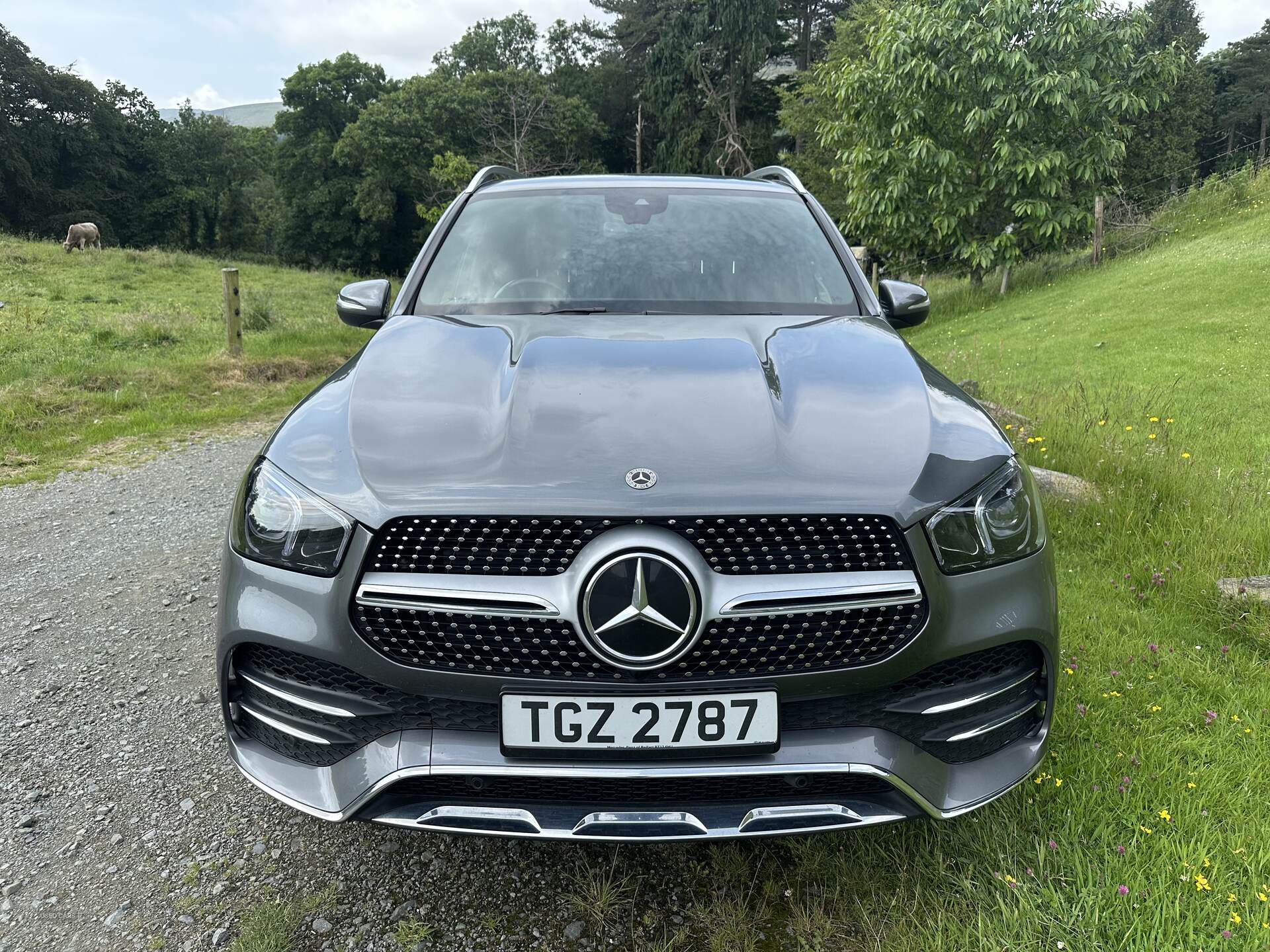 Mercedes GLE-Class DIESEL ESTATE in Down