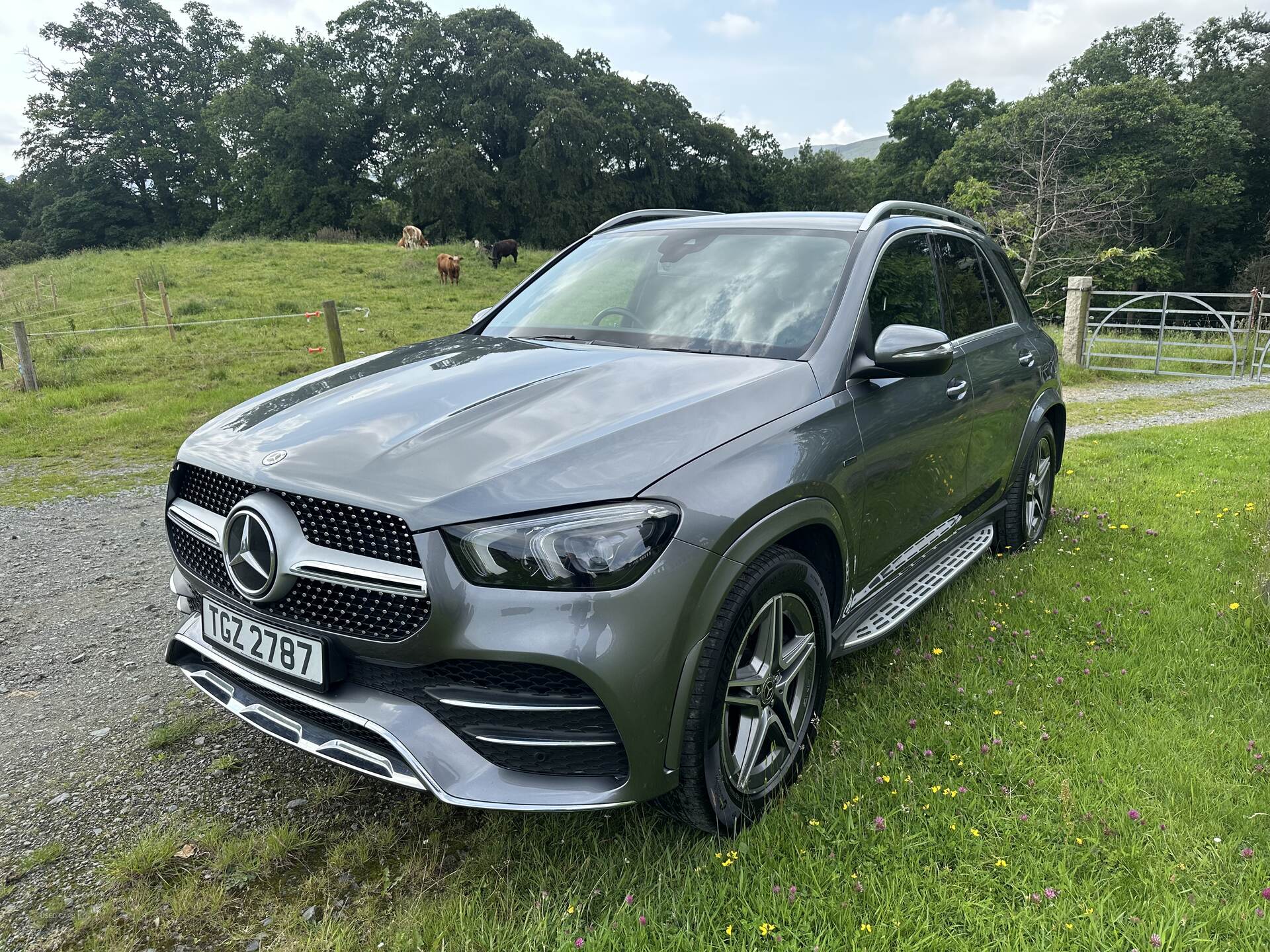 Mercedes GLE-Class DIESEL ESTATE in Down
