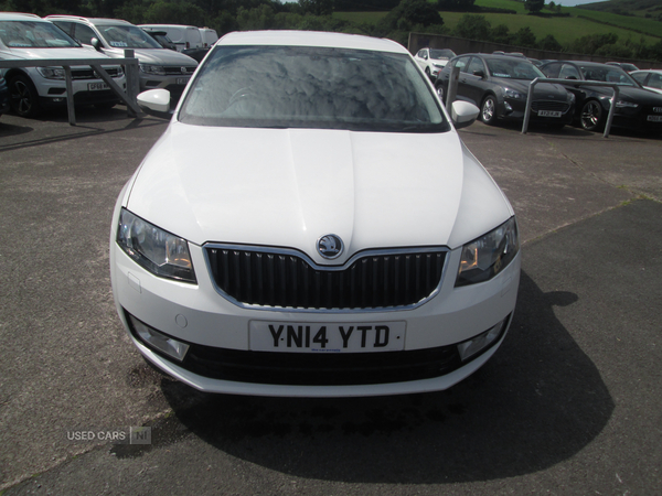 Skoda Octavia DIESEL HATCHBACK in Fermanagh
