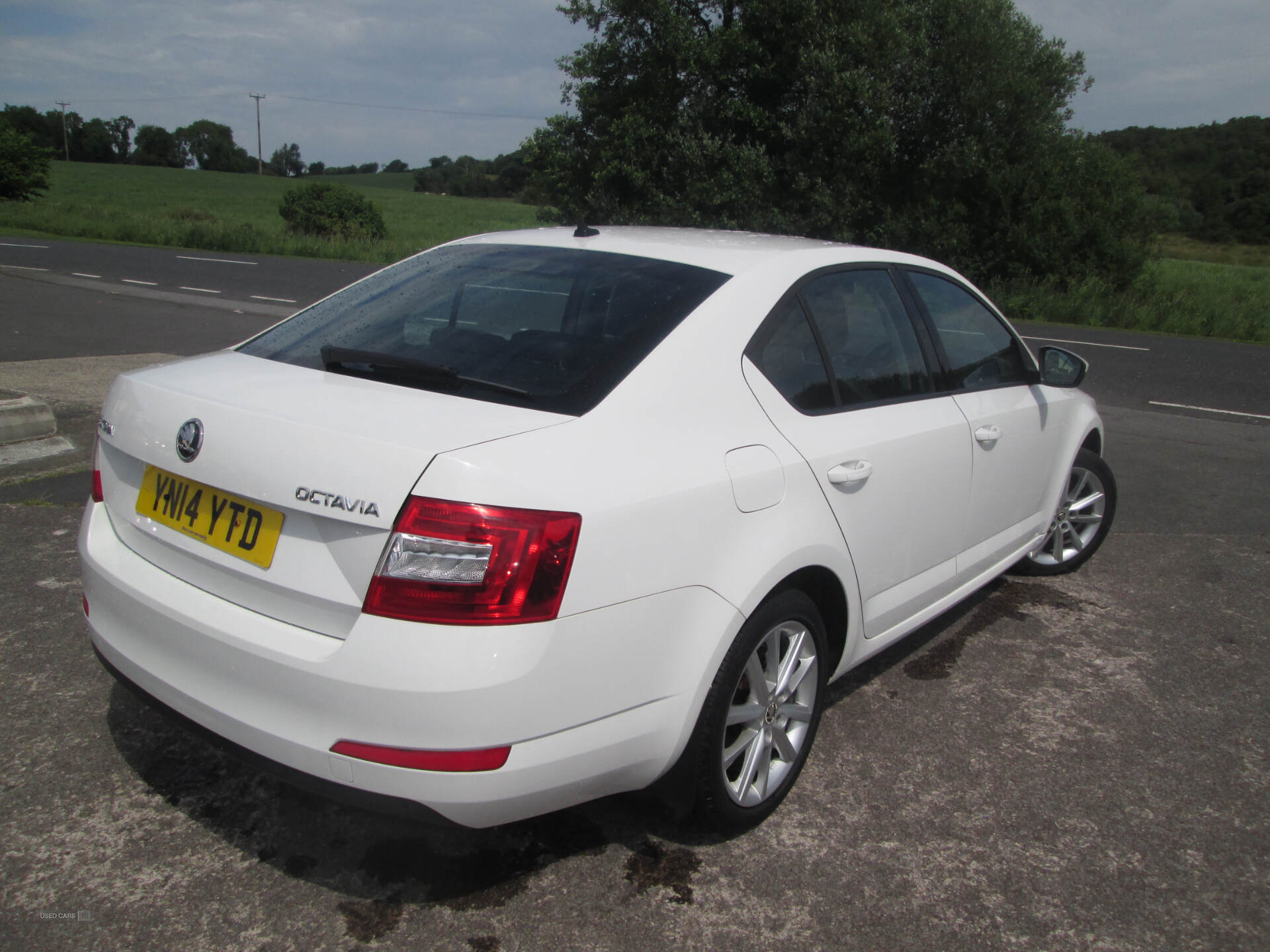 Skoda Octavia DIESEL HATCHBACK in Fermanagh