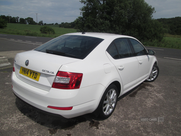 Skoda Octavia DIESEL HATCHBACK in Fermanagh