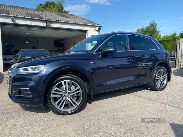 Audi Q5 DIESEL ESTATE in Down