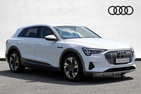 Audi E-Tron 300kW 55 Quattro 95kWh 5dr Auto in Armagh