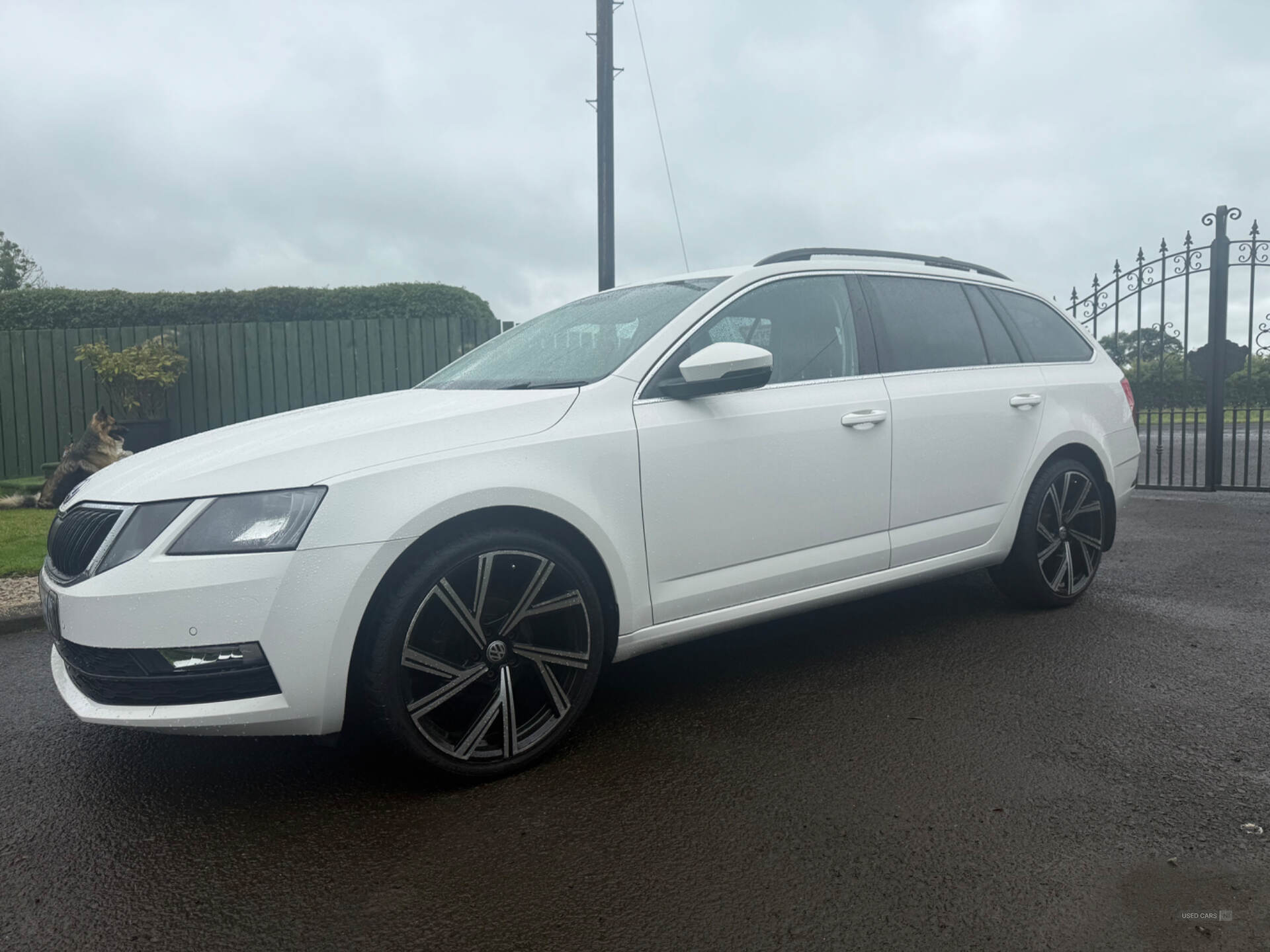Skoda Octavia DIESEL ESTATE in Antrim