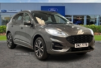 Ford Kuga 2.5 Duratec 14.4kWh ST-Line X Edition SUV 5dr- Panoramic Sunroof in Antrim